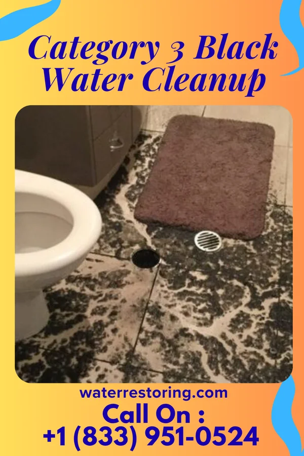 Category 3 Black Water Cleanup in Hat Island, WA