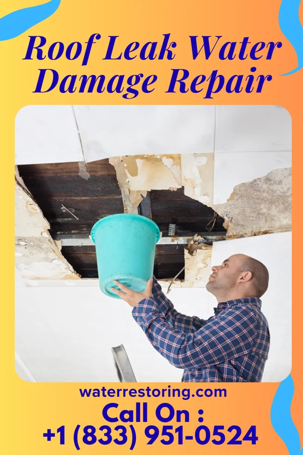 Roof Leak Water Damage Repair in Hat Island, WA
