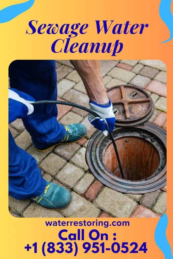 Sewage Water Cleanup in Hat Island, WA